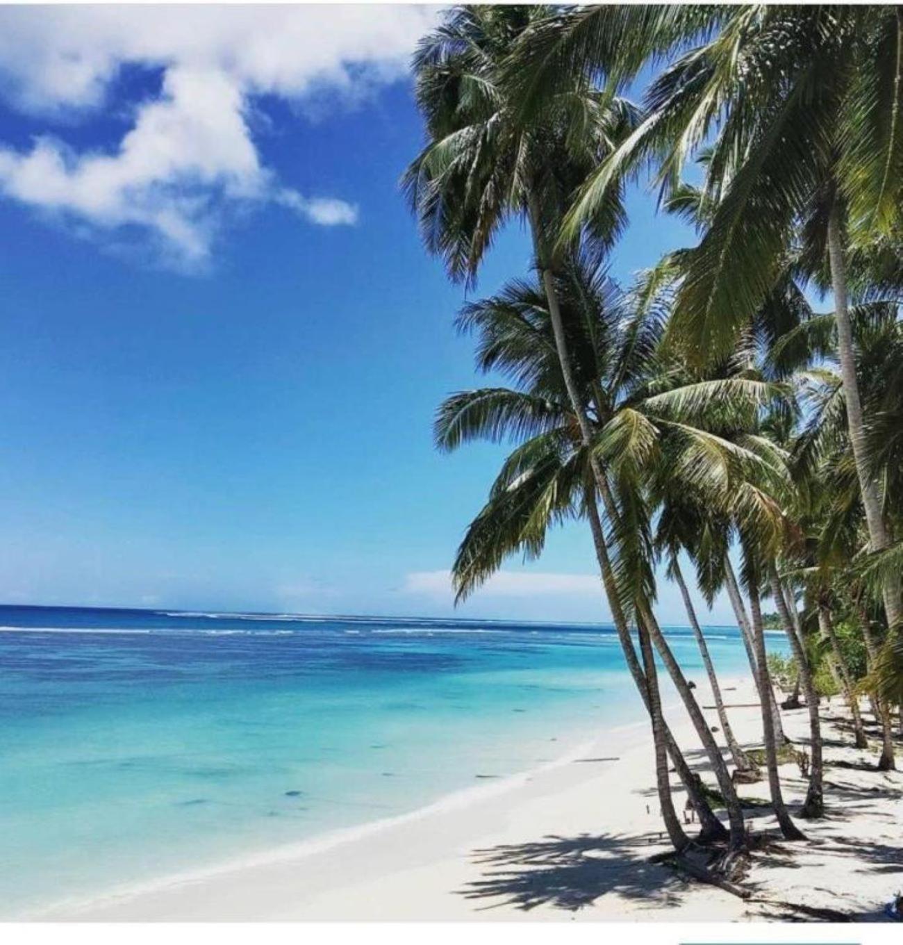 Nasara Resort Mentawai Tua Pejat Zewnętrze zdjęcie